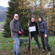 Faire de votre jardin un sanctuaire en faveur de la biodiversité