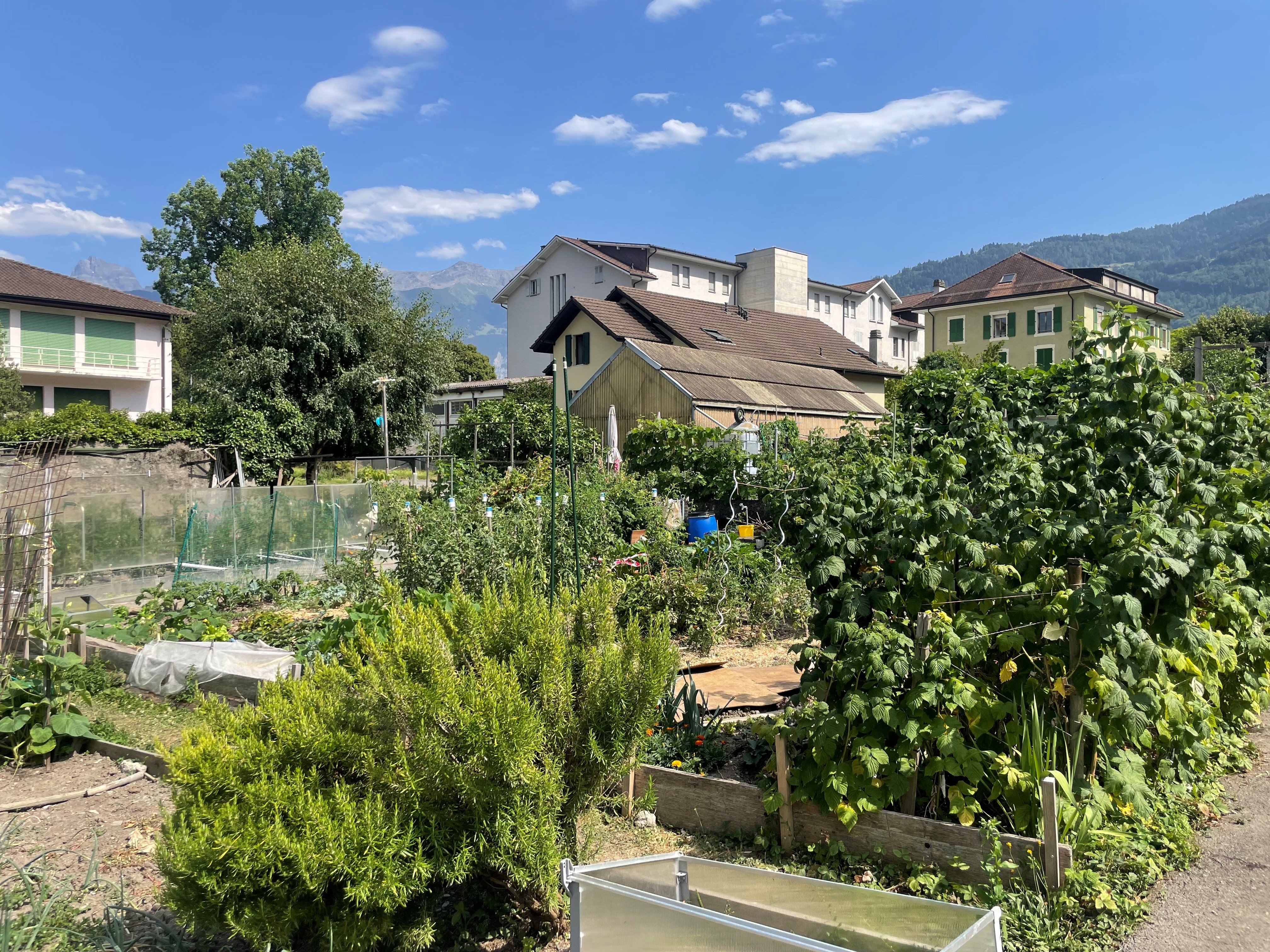 Les jardins familiaux du Chablais ont la cote