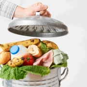 Free Go, association de lutte contre le gaspillage alimentaire, va ouvrir une antenne à Vevey