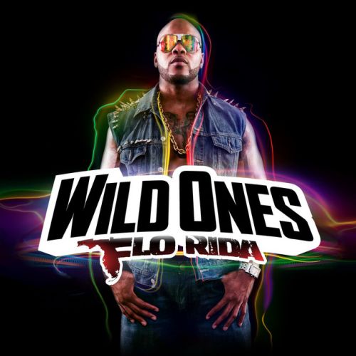 FLO RIDA / SIA - wild ones