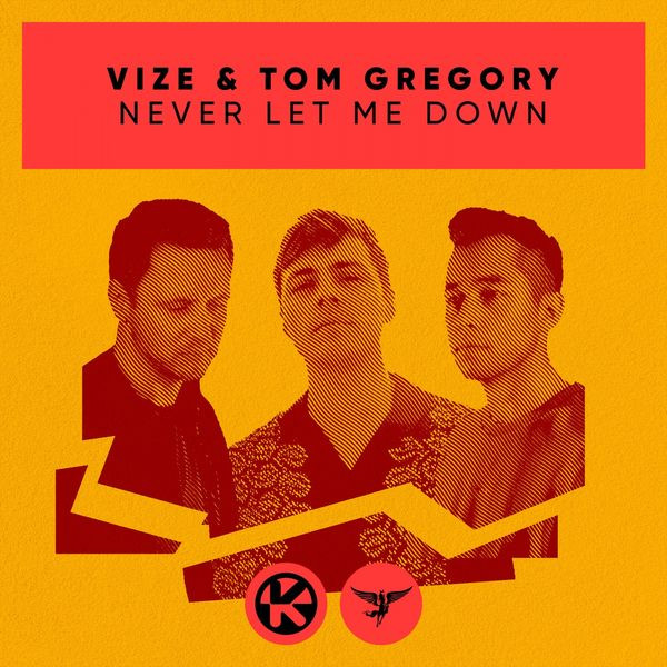 VIZE / TOM GREGORY - never let me down